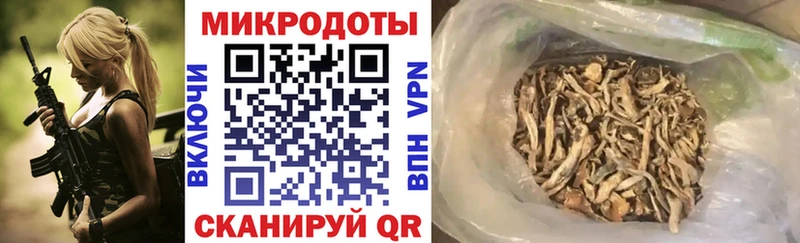 магазин    Межгорье  Псилоцибиновые грибы Psilocybe 